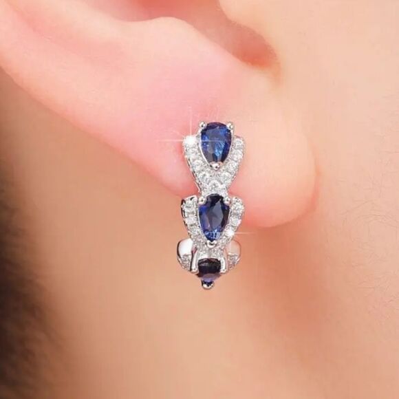 Elegant Silver and Blue Gemstone Earrings - Picture 2 of 9